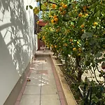 House Isabel