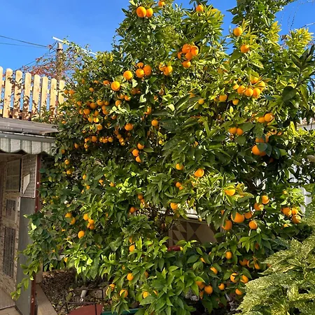 House Isabel Apartman *